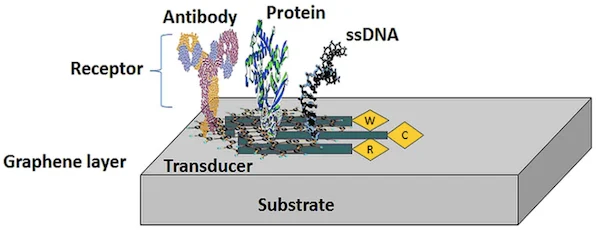 生物傳感器裝置